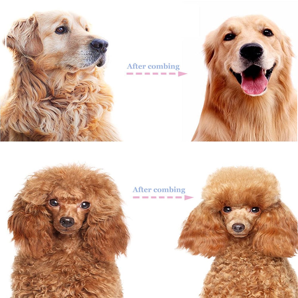 🏆 Professional Deshedding Tool For Dogs And Cats – Gentle On Skin, Efficient Grooming & Comfortable Grip Design ✂️
